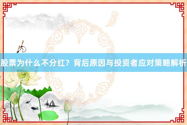 股票为什么不分红？背后原因与投资者应对策略解析
