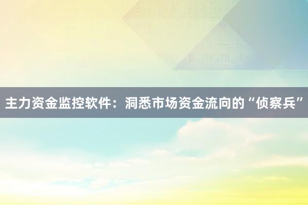 主力资金监控软件：洞悉市场资金流向的“侦察兵”
