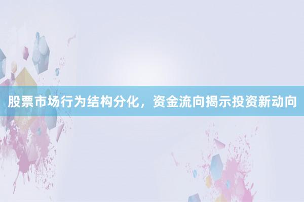股票市场行为结构分化，资金流向揭示投资新动向