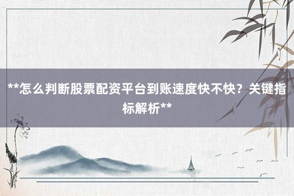 **怎么判断股票配资平台到账速度快不快？关键指标解析**