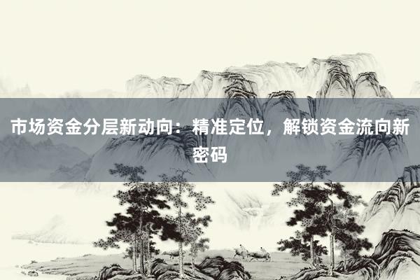 市场资金分层新动向：精准定位，解锁资金流向新密码